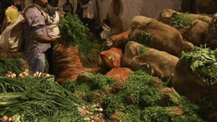 abundant production vegetables thane district