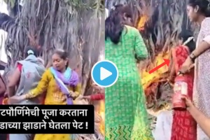 Video Banyan Tree Catches Fire During Vat Purnima Puja In Kolhapur Over Excited Women Still made Mistakes Trending Online