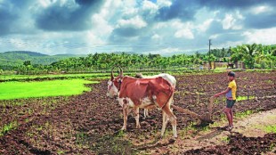 Despite the onset of monsoon moisture does not build up in the soil