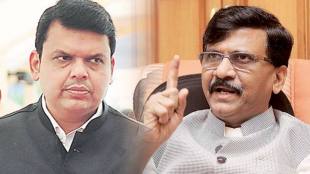 Devendra Fadnavis Sanjay Raut