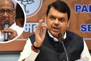 What Devendra Fadnavis Said?