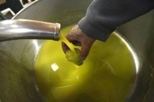 Edible Oil Price