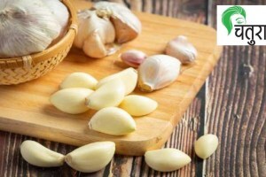 Garlic useful in heart disease