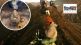 Hindu worshippers Mount bromo