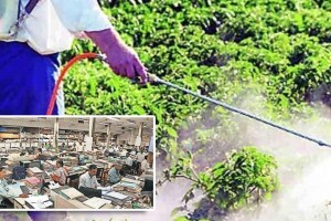 Insecticide spraying
