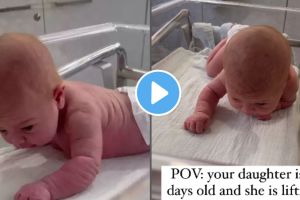 Baby starts crawling Video