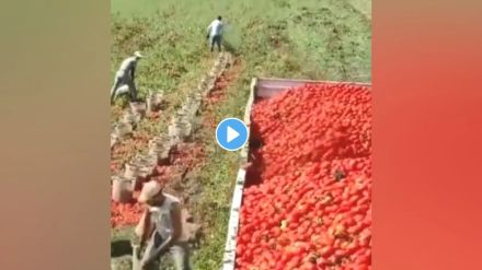 Desi Jugaad Of Farmers Video