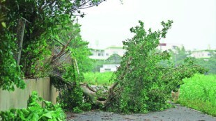 Mawar Storm 23