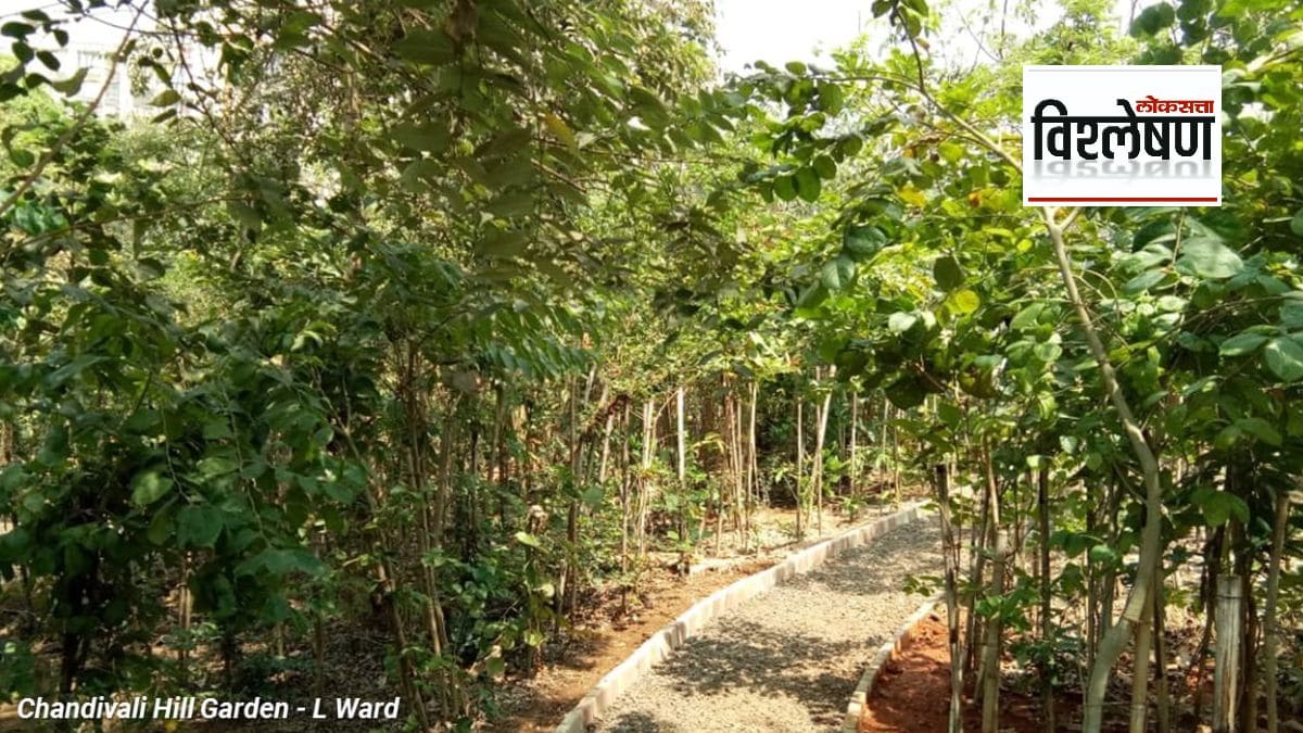 Miyawaki forest in mumbai
