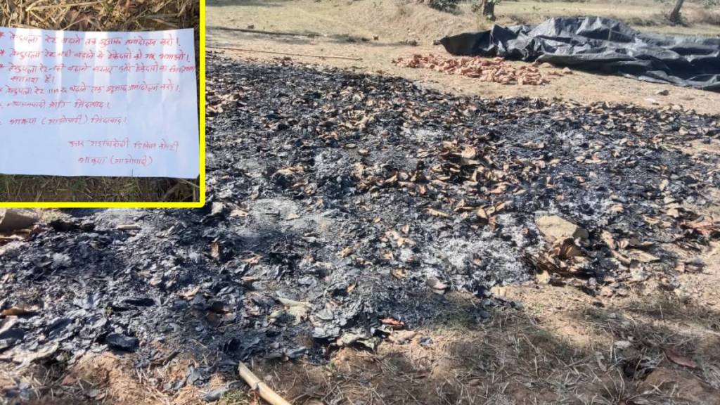 Naxals set fire to tendu leaf