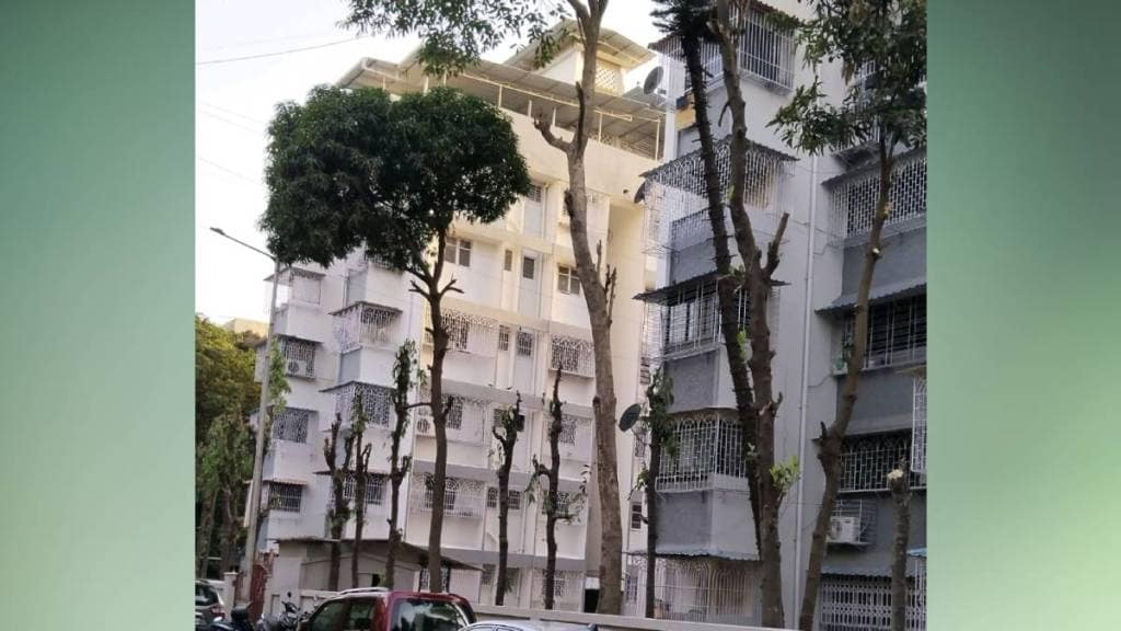 pruning of trees Navi Mumbai