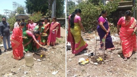 Vat purnima celebrated Navi Mumbai