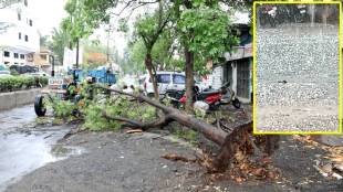 stormy winds Nashik