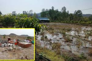 Pre monsoon rain affect Nashik