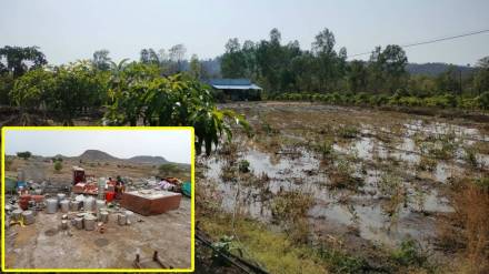 Pre monsoon rain affect Nashik