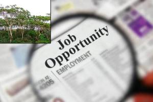 Forest Guard Recruitment