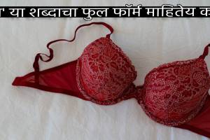 Full Form Of Bra Who Decided Bra Cup Size For The First Time A cup to D Cup Brassiere Designs Did You Know
