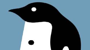 Optical Illusion Personality Secrets are You Among 90 Percent People Who Saw Penguin Or Special Check Results Here