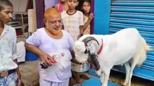 one lakh lockdown goat viral news
