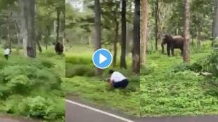 elephant attack on man while taking photo