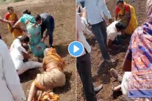 Brothers fighting for farm boundaries in farm video viral on social media