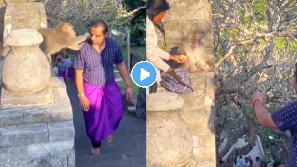 Video of monkey taking specks of a man goes viral