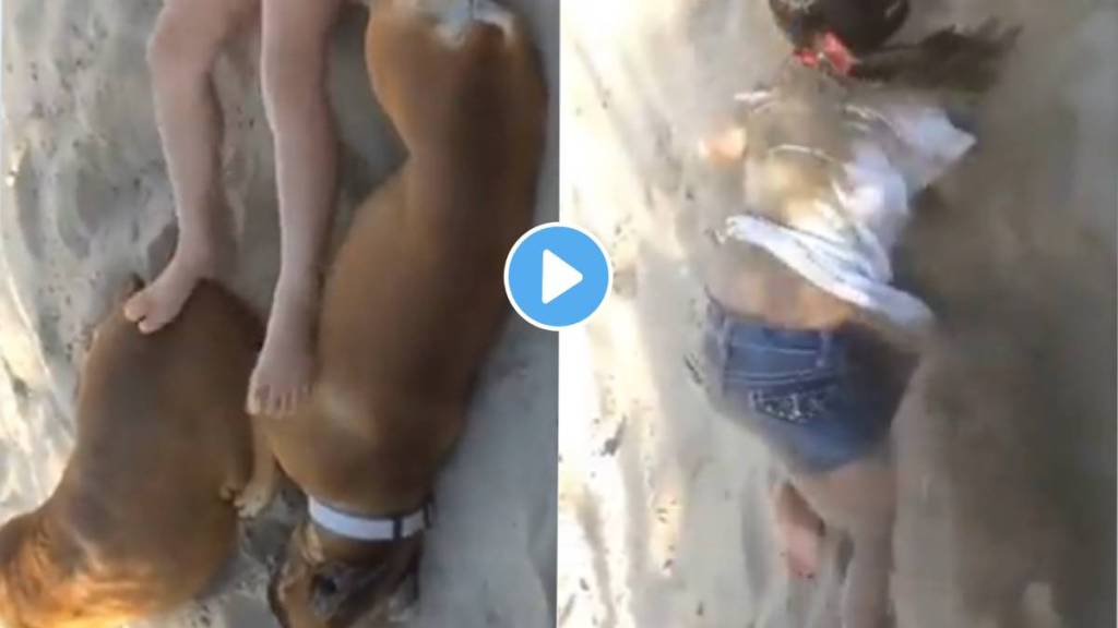 Dog took revenge from girl