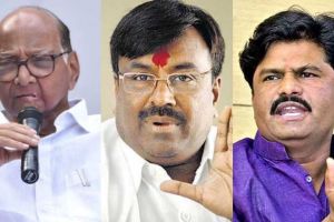 Sharad Pawar Sudhir Mungantiwar Gopichand Padalkar