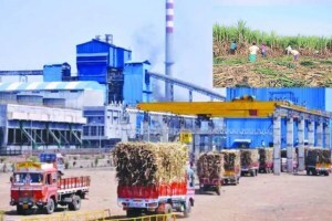 construction of sugar factory