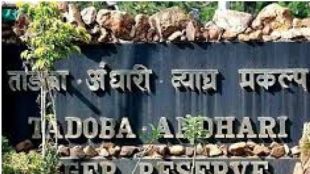 Tadoba Andhari Tiger Reserve
