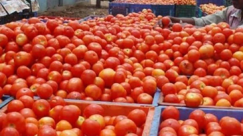 Tomatoes, 30,000 rupees, theft, vegetable market, Gondia