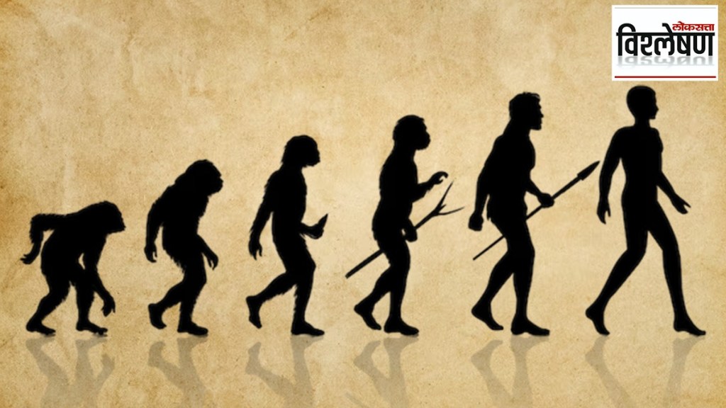 New Theory of Human Evolution