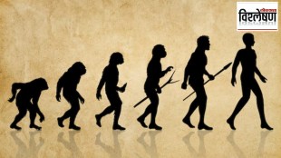 New Theory of Human Evolution