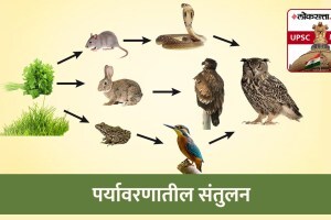 Food Balance in environment