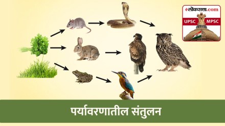 Food Balance in environment