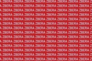 optical illusion find out zebra correct spelling puzzle photo