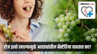 Can grapes increase gut bacteria
