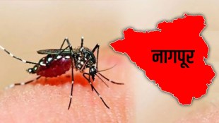 dengue Nagpur patients