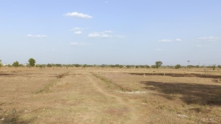 forest rights land scam gadchiroli