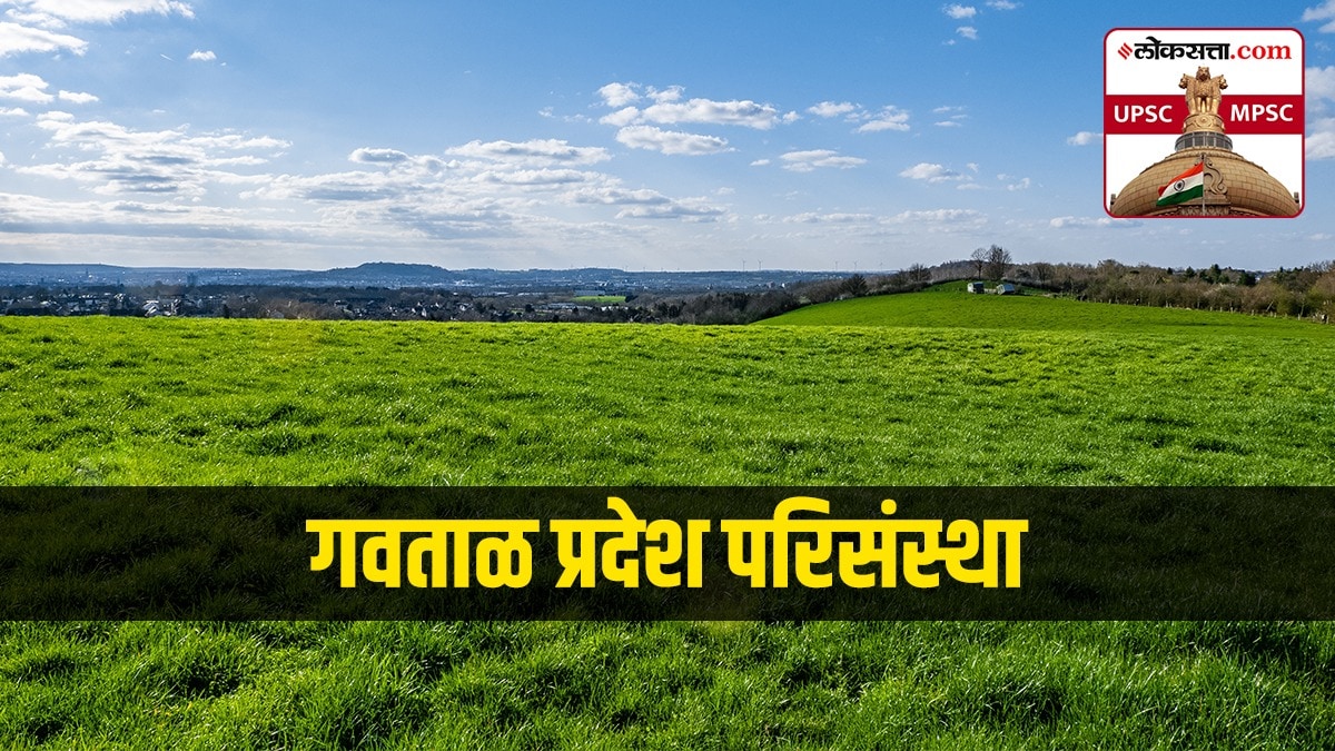 grassland ecosystem In Marathi