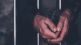 arrest