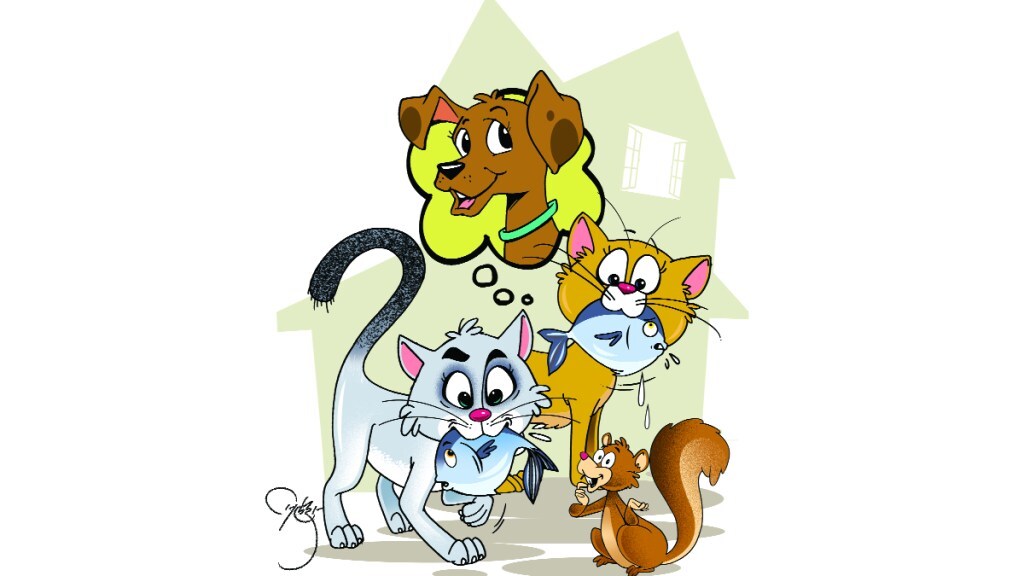 balmaifil 5 balmaifil 5