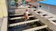cleaning campaign in nashik