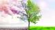 environmental conservation environmental protection for confronting climate change