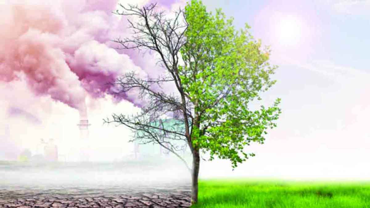 environmental conservation environmental protection for confronting climate change