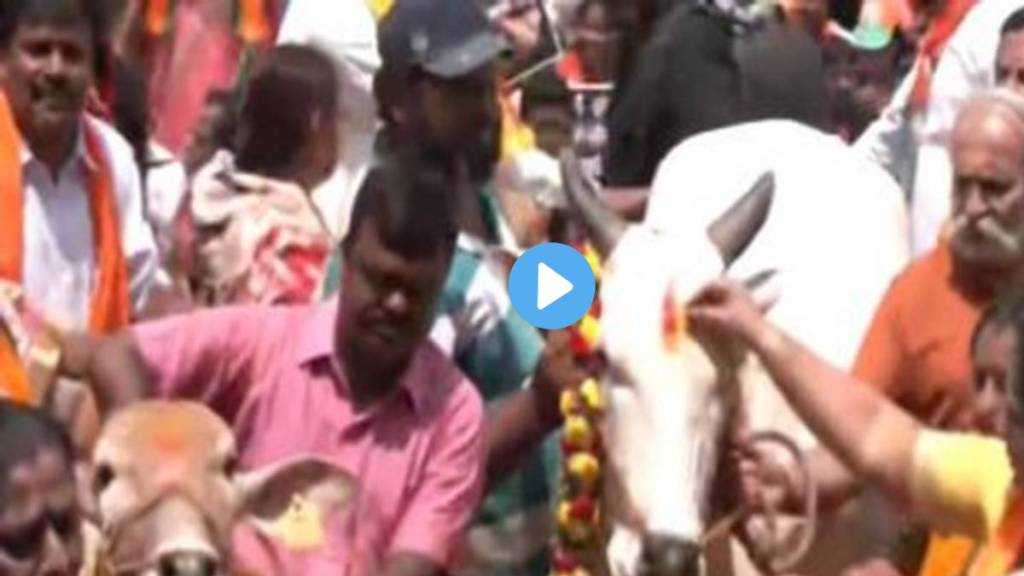 cow karnataka protest