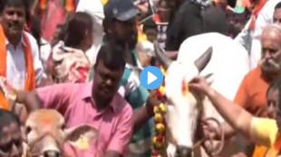 cow karnataka protest