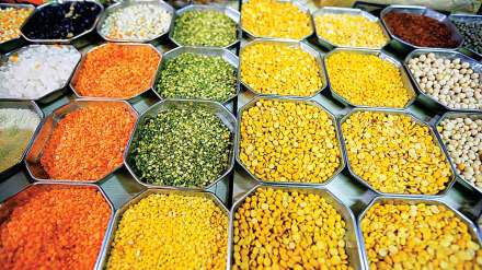 stock limits on urad dal