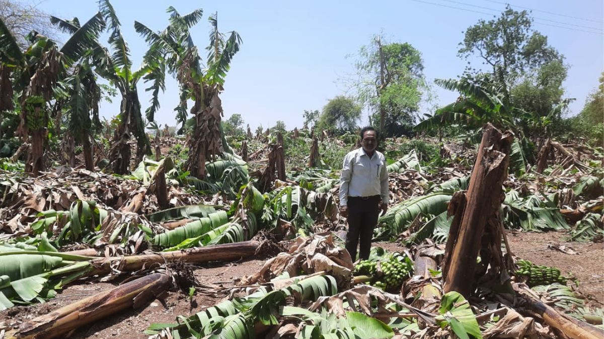 damage due to stormy rains