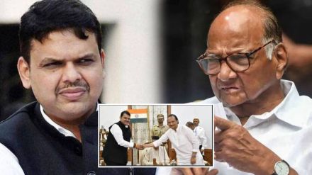 devendra fadnavis on sharad pawar (2)